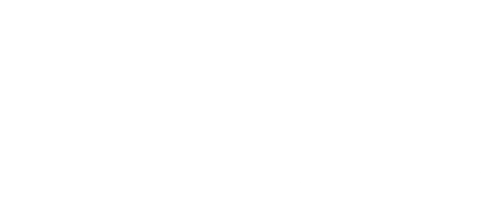 The Black Turtle